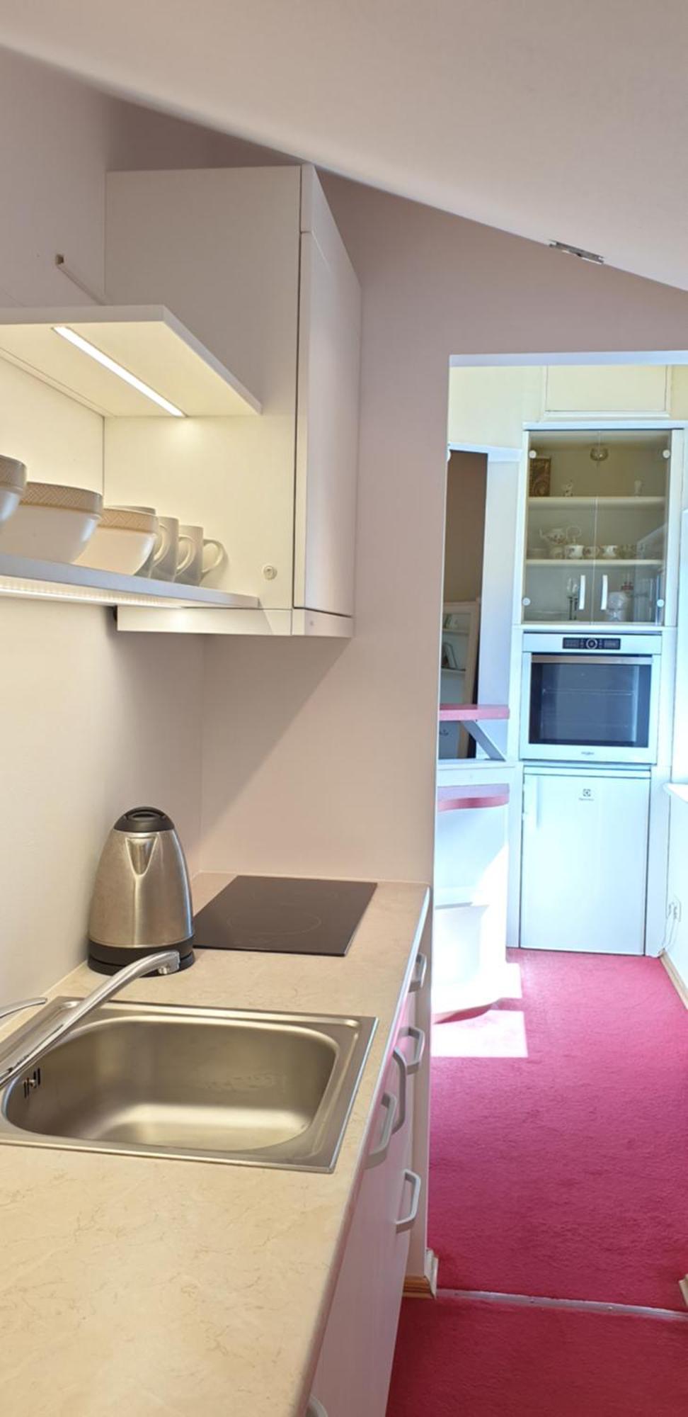 Zeliuga Apartments パランガ 部屋 写真